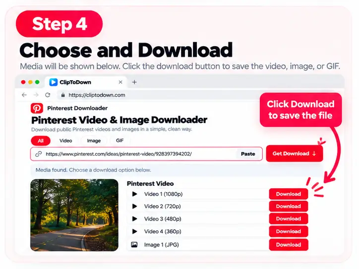 Pinterest Downloader Step 4
