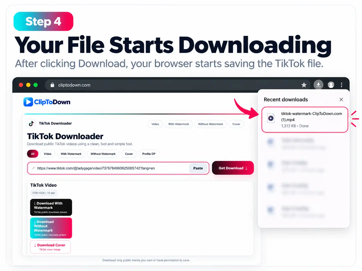 ClipToDown TikTok downloader - step 4
